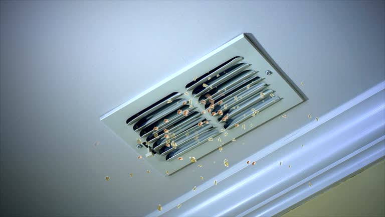 Best Residential Air Duct Cleaning  in Lyons, IL