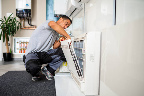 Best Affordable Duct Cleaning Services  in Lyons, IL