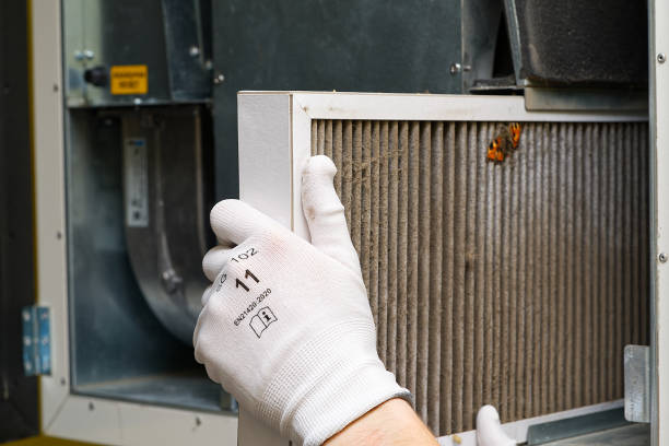 Best Air Duct Cleaning Company Near Me  in Lyons, IL