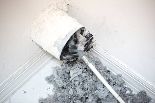 Best Professional Duct Cleaning Services  in Lyons, IL